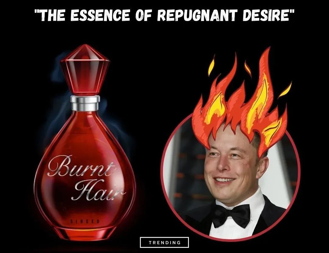 恶臭啊！特斯拉老板Elon Musk带货香水，一小时卖了10000瓶！