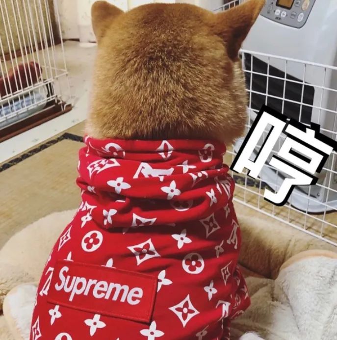 离谱！Supreme x 「本田」摩托车被移除，取消发售了？？