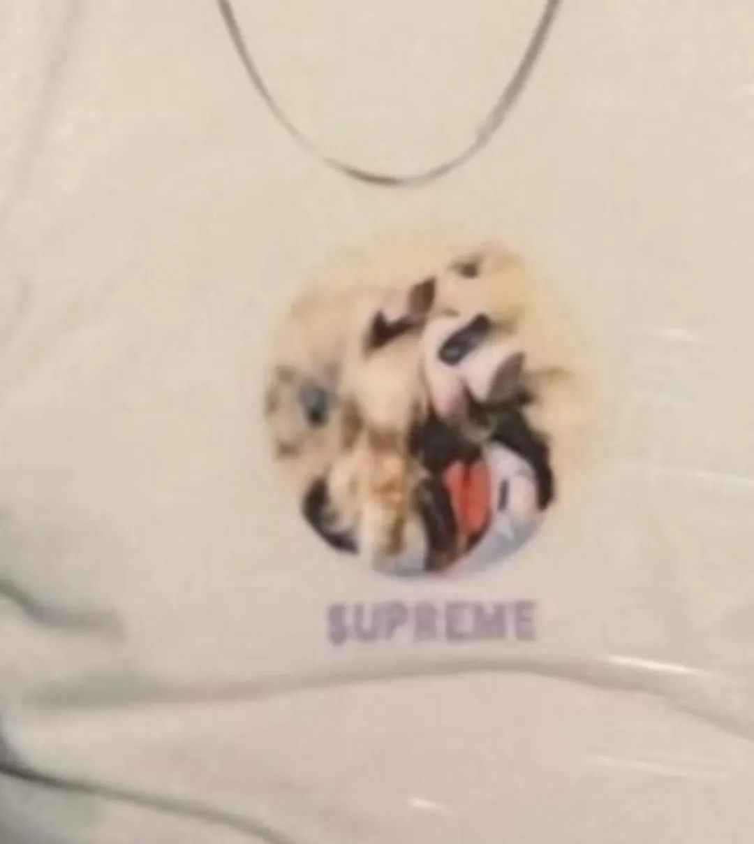 重磅！「Supreme」骨灰级人物Tee，新款发售情报，提前泄露！