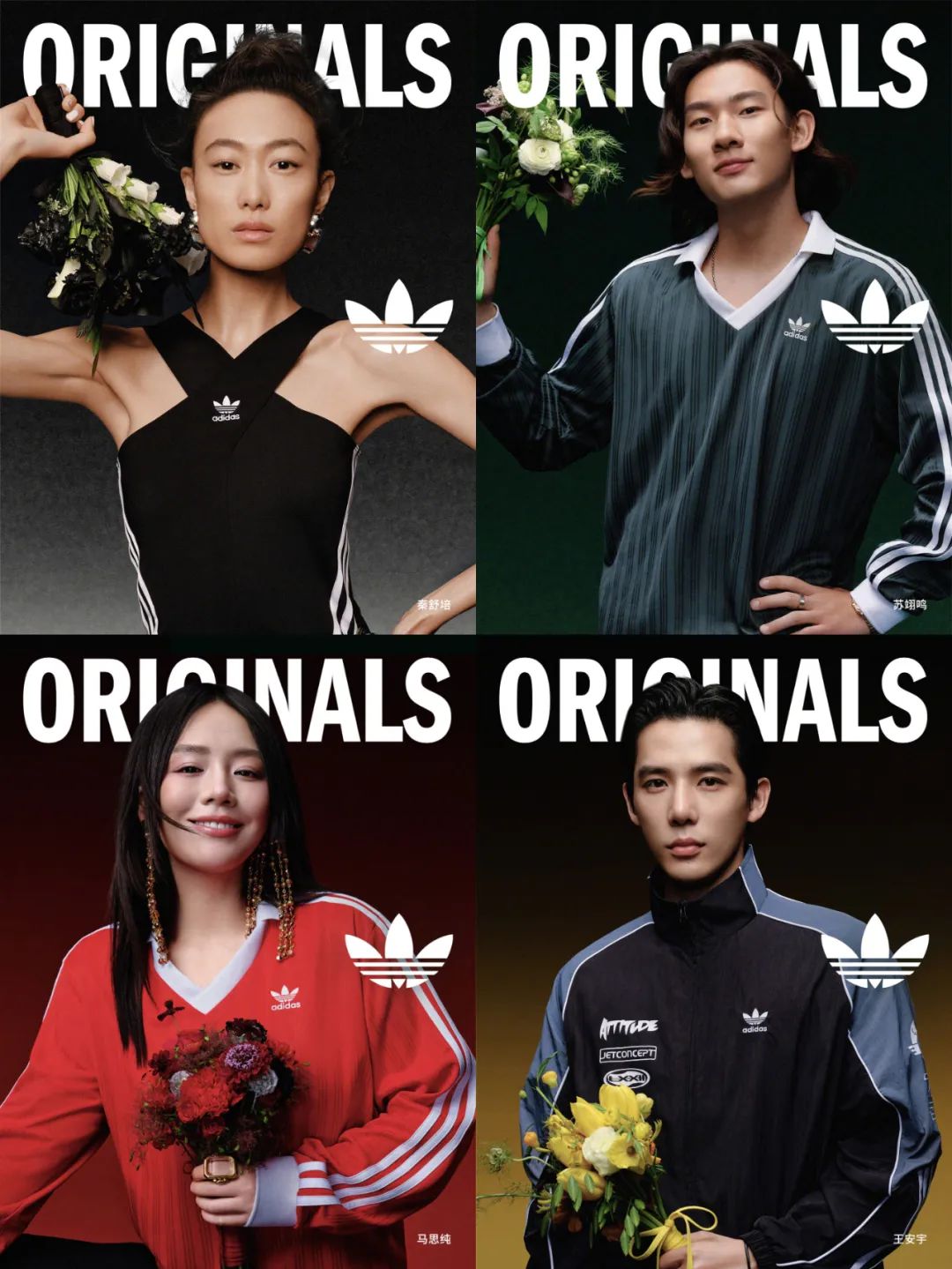 陈冠希老婆「秦舒培」代言adidas了？？？