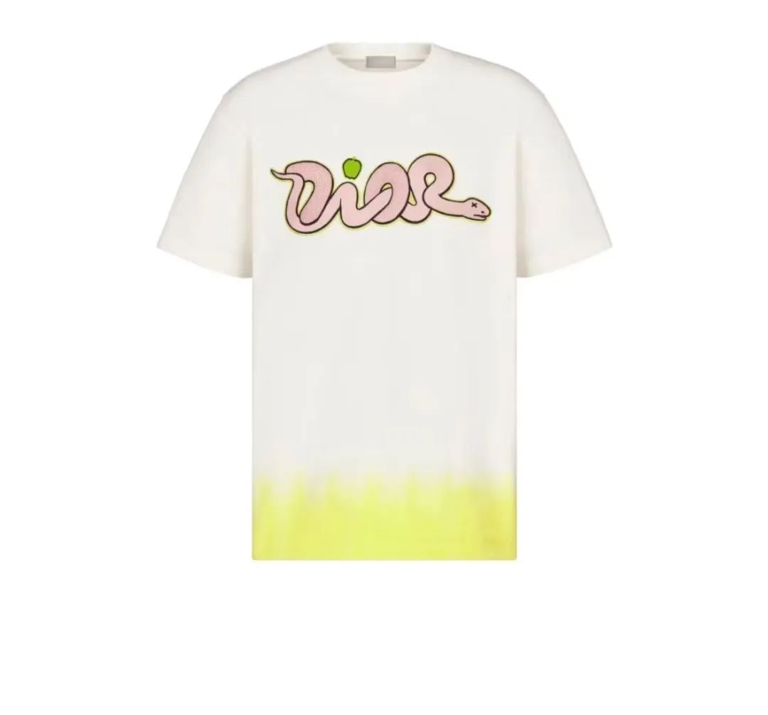 蛇年限定！「Dior x Kaws」新联名计划曝光，确认发售...