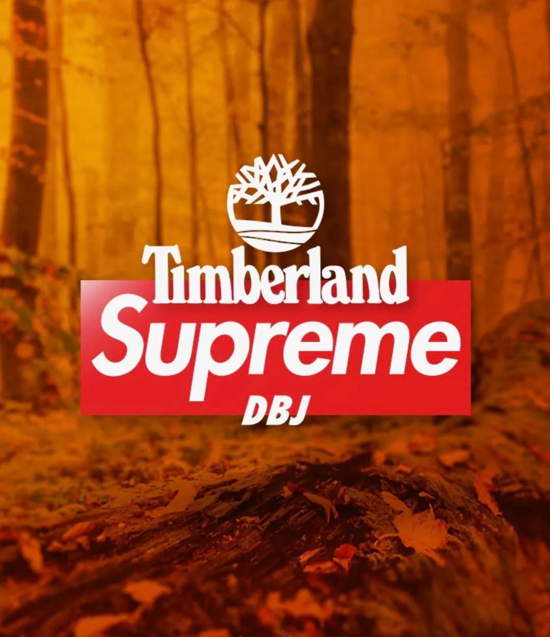 没分手！「Supreme x 添柏岚」新联名计划曝光，还会有TNF联名？-Supreme情报网