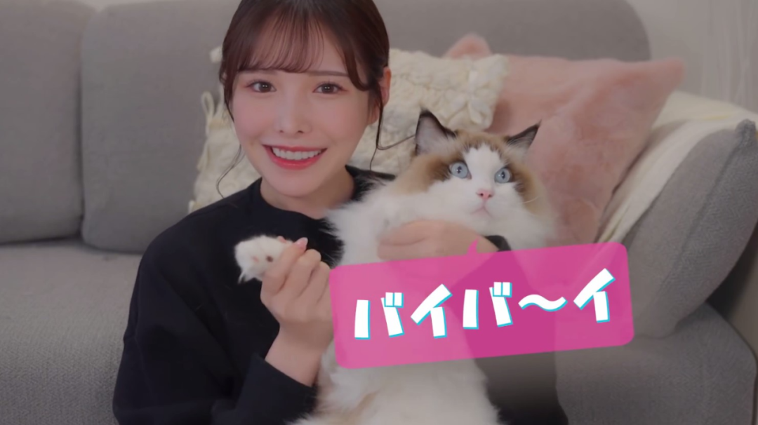 🥵突发：「桥本有菜」引退了...