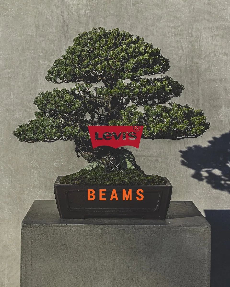 独占发售！「李维斯Levi's x Beams」联名5.0计划确认了...