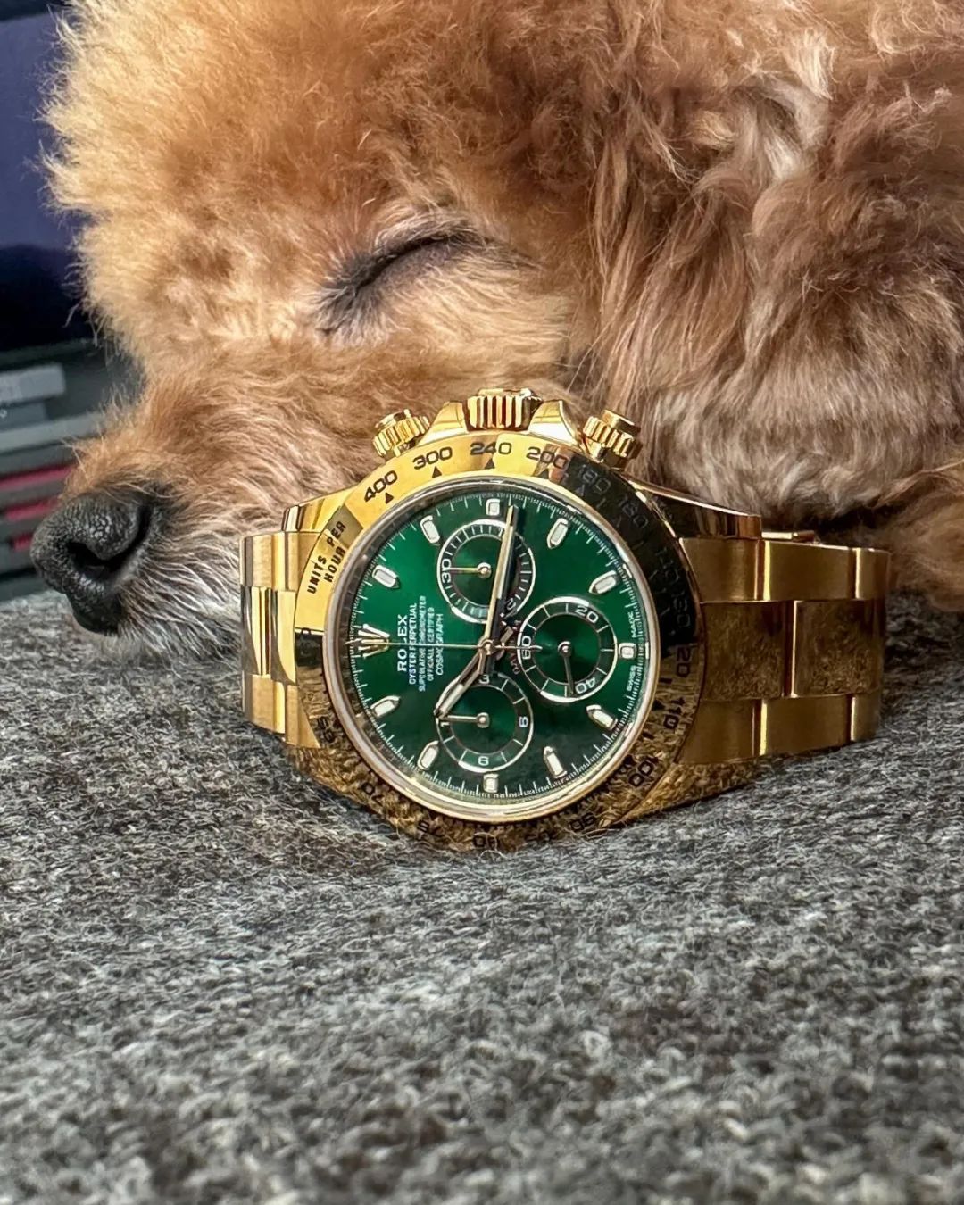 ‼️重磅：「劳力士Rolex」又要涨价了....