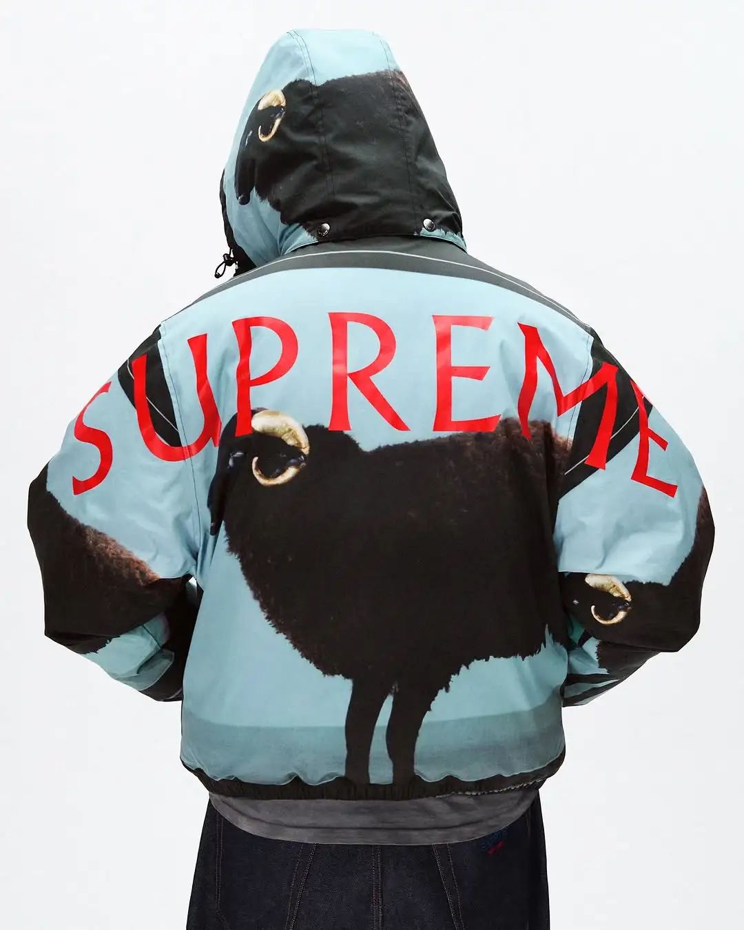 「Supreme」 2025年春夏，第一次预告正式曝光！下周开售！