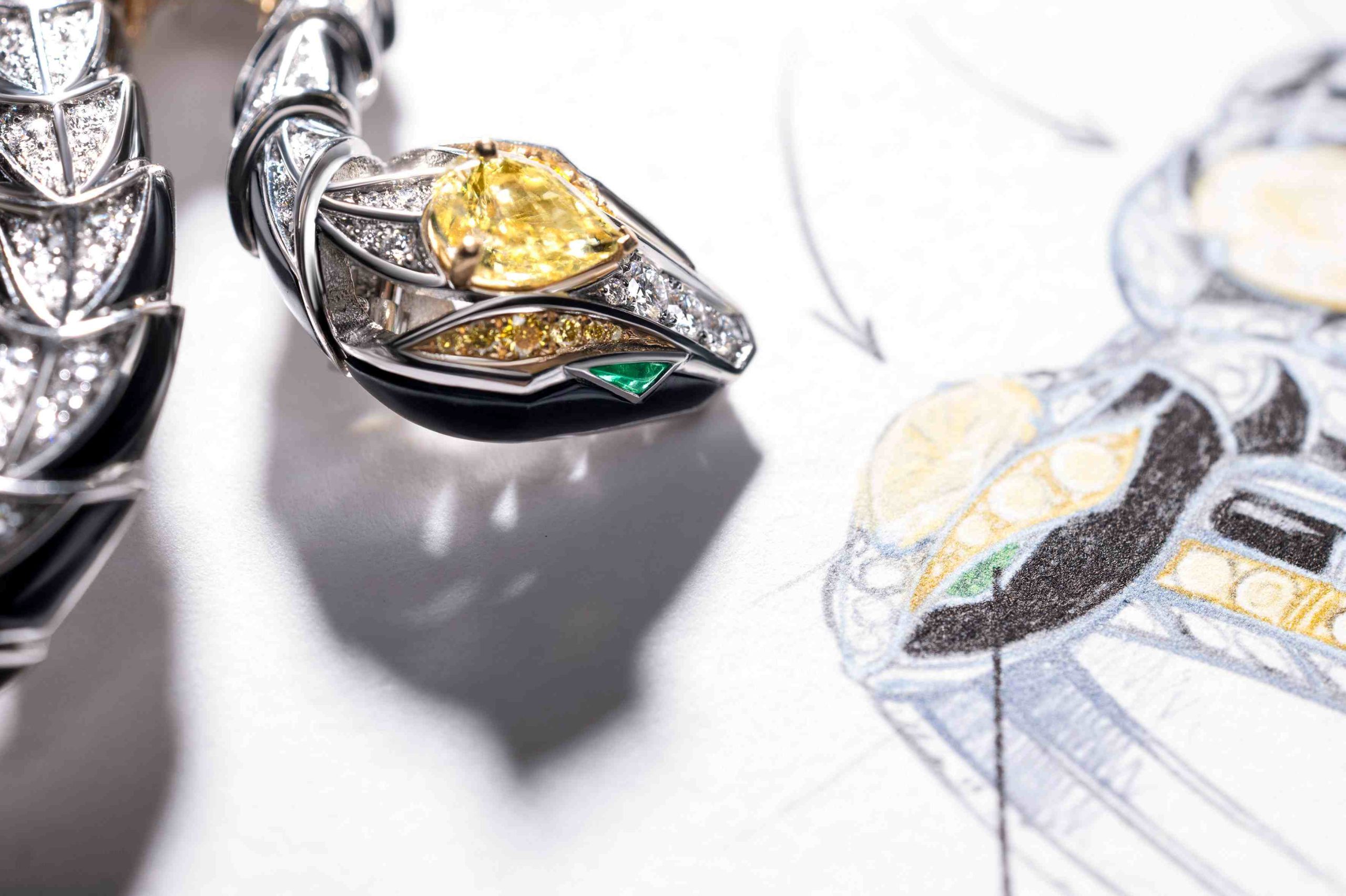 BVLGARI宝格丽璀璨发布 ECLETTICA万象艺境高级珠宝与高级腕表系列-Supreme情报网